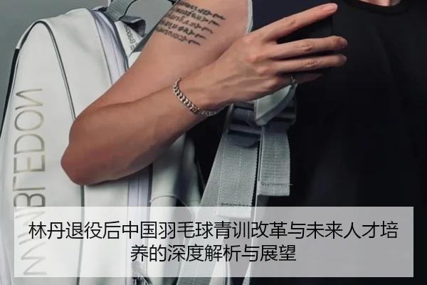 林丹退役后中国羽毛球青训改革与未来人才培养的深度解析与展望（FANYAESPORTS）